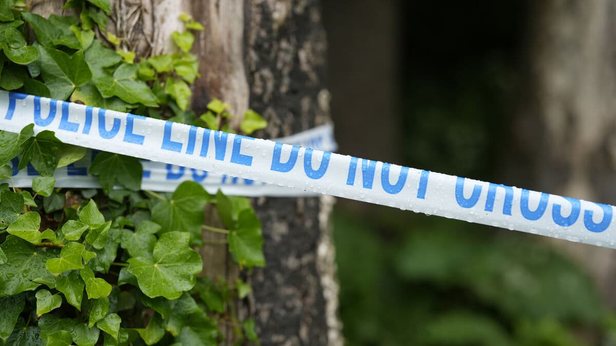 Several people stabbed on train in England