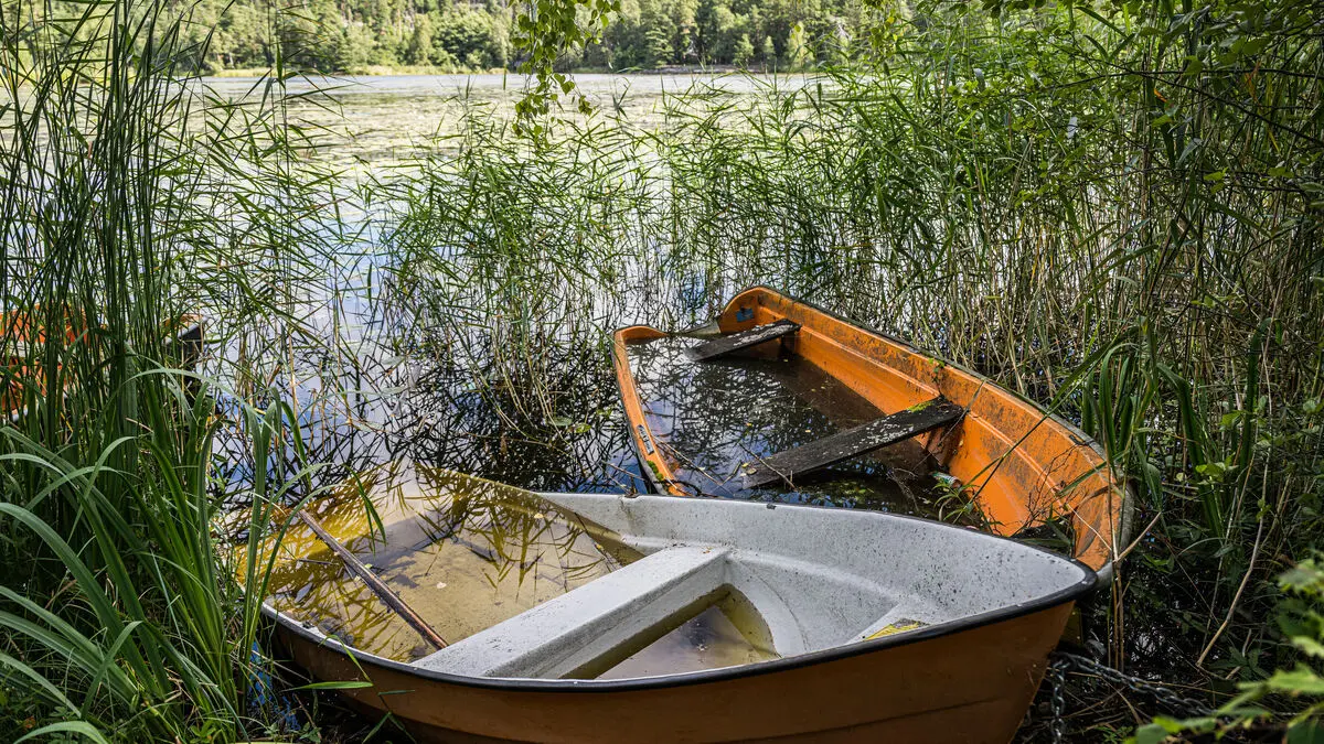 The municipality got tired – is giving away boats