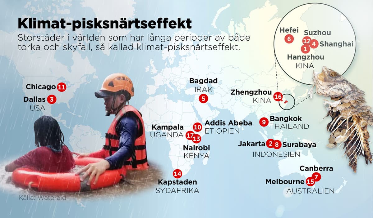 Sudden Whip Lashes Cities: "It's Happening Now"