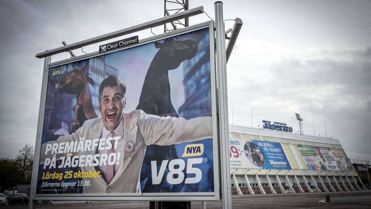 Horses Collide Before V85 Premiere at Jägersro