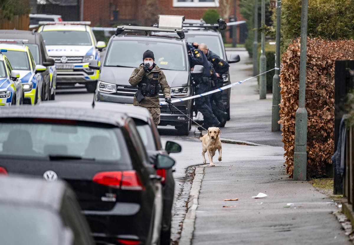 Charged with murdering his father with a bayonet