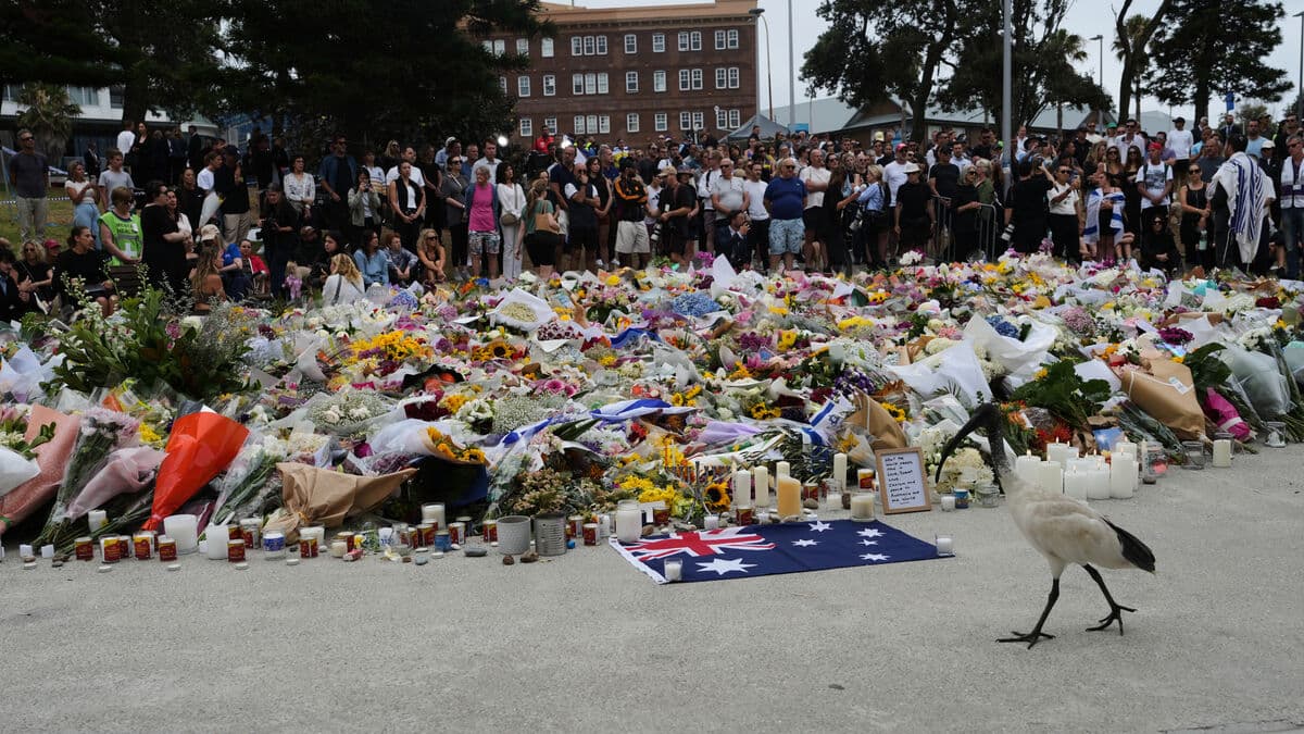 Politician: Would have done things differently if we could