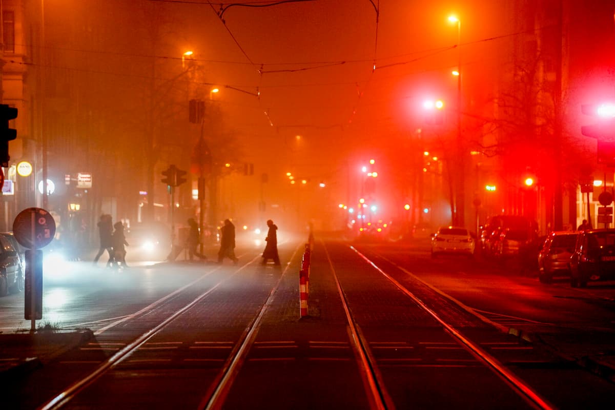 German Investor Confidence Plummets as Tariffs Threaten Recovery