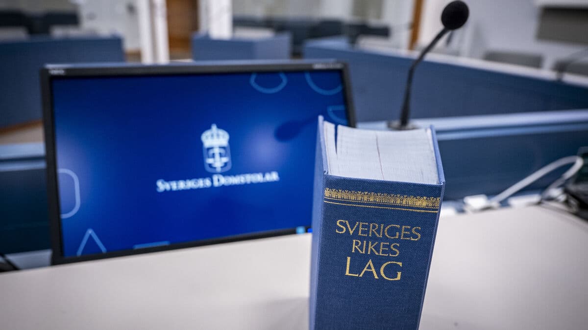 Arrested for theft, remanded in custody for 2020 Högdalen rape