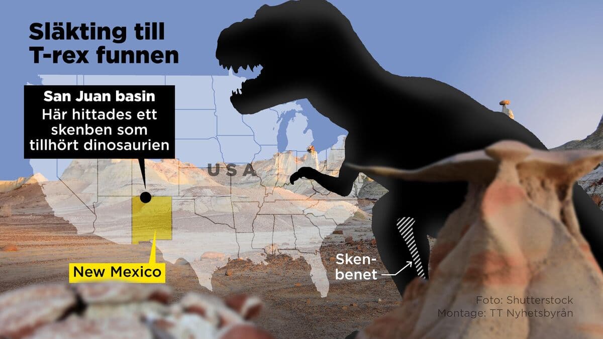 Huge ancestor of T. rex discovered in New Mexico, US