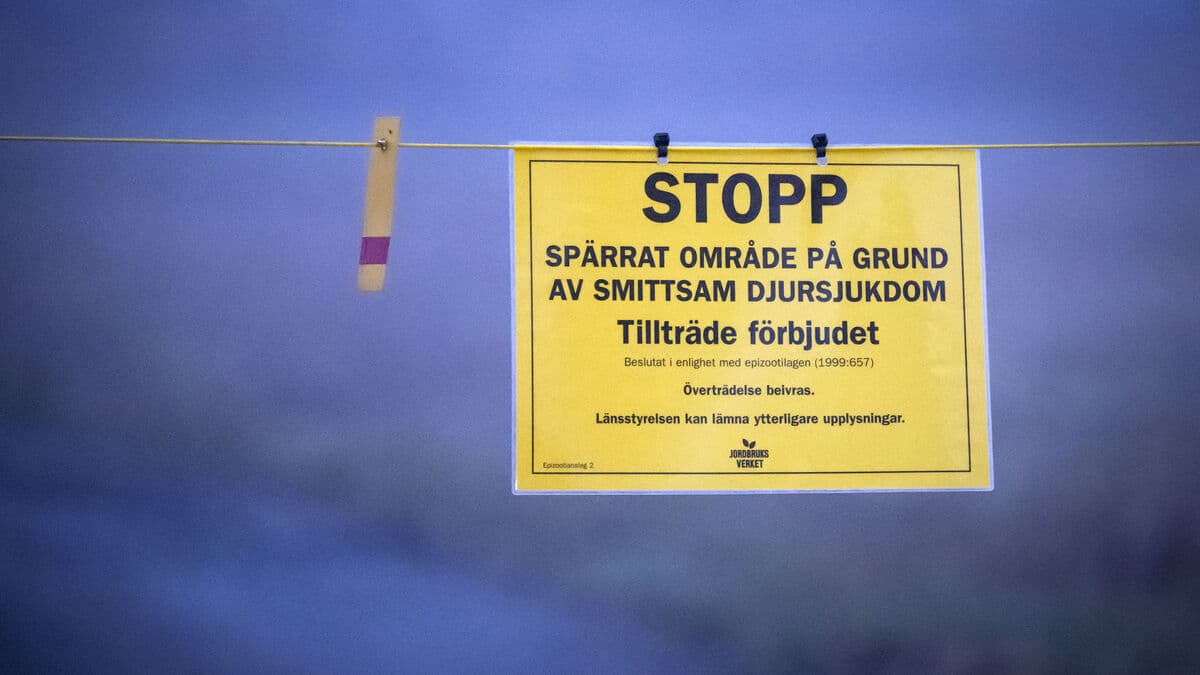 48,000 birds culled after bird flu confirmed at Torsås farm