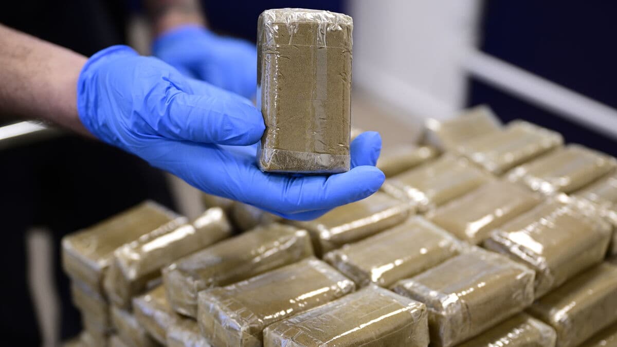 Worked against crime – convicted of serious crimes