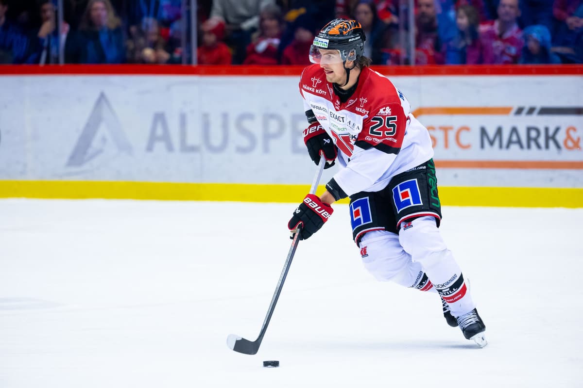 Djurgården Signs Experienced Defender Philip Holm for SHL Return