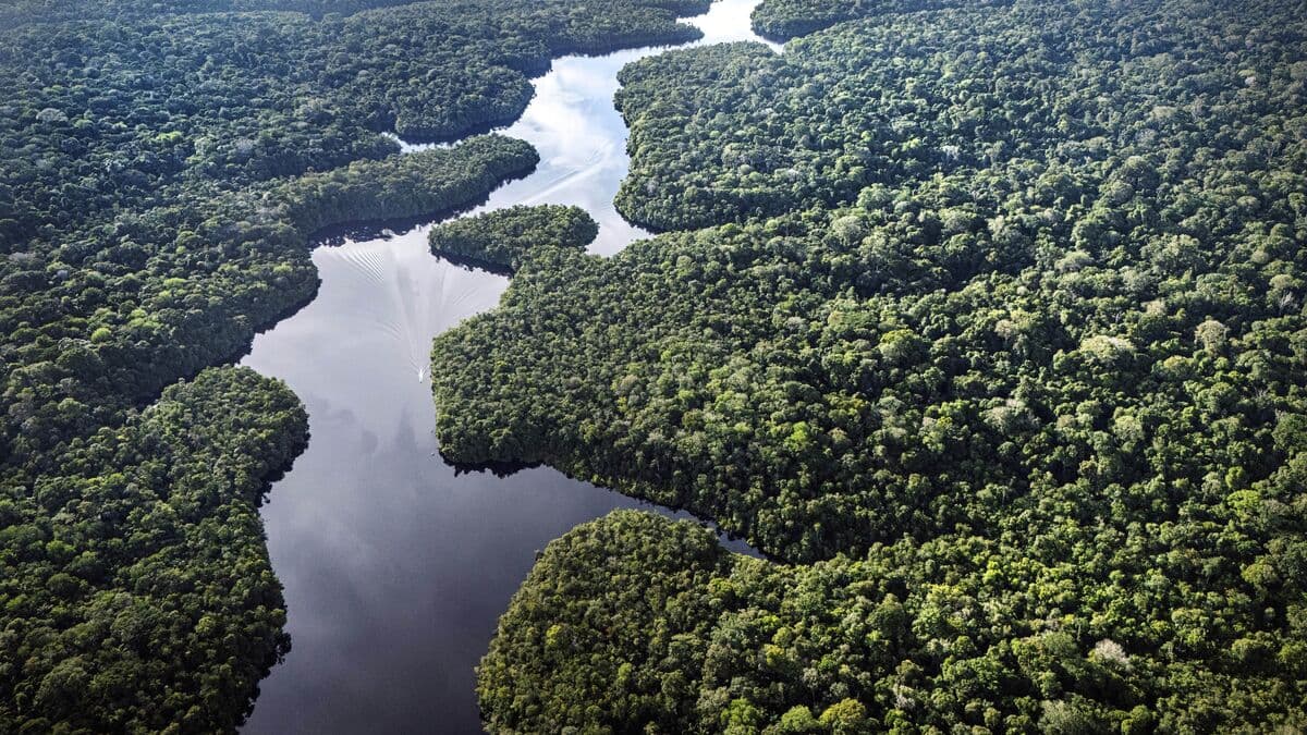 The Amazon is crucial for the planet – that's the secret