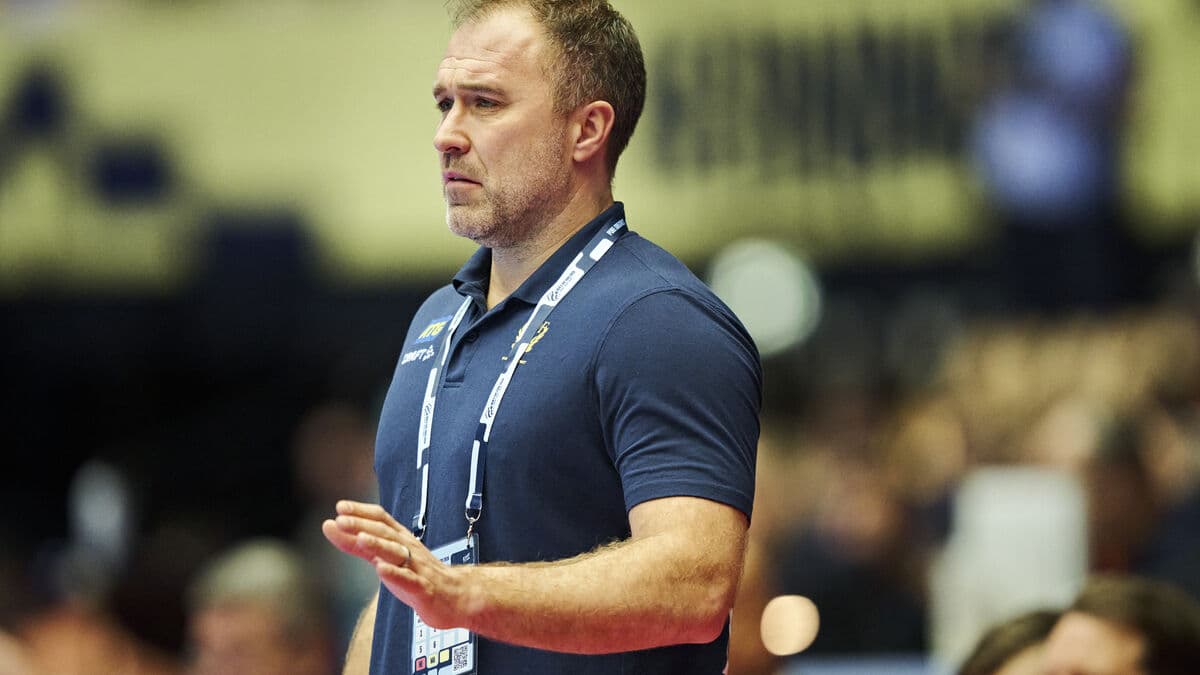 Swedish Handball Association: Full confidence in Apelgren