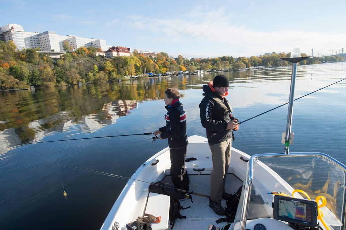 Sweden Proposes Registration and Catch Reporting for Recreational Fishing