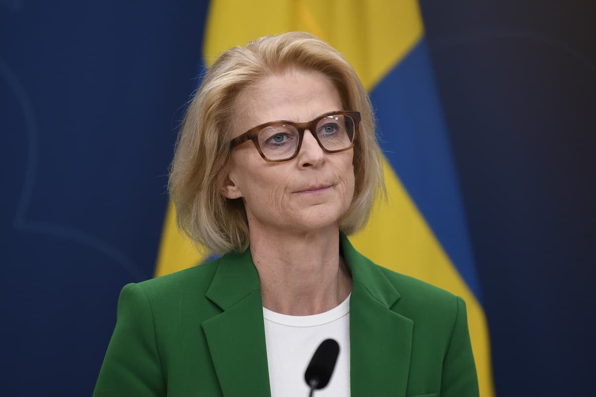 Sweden's Finance Minister Criticizes US Tariff Policy as Risky Move