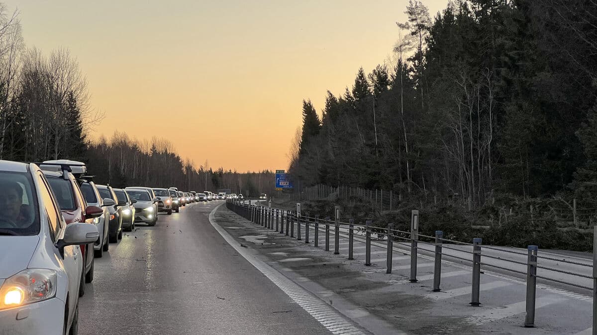 Blown down trees on roads - VMA issued