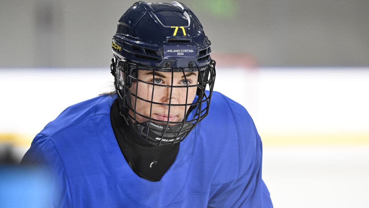 Exports a boost means an incredible amount for Sweden's Damkronorna