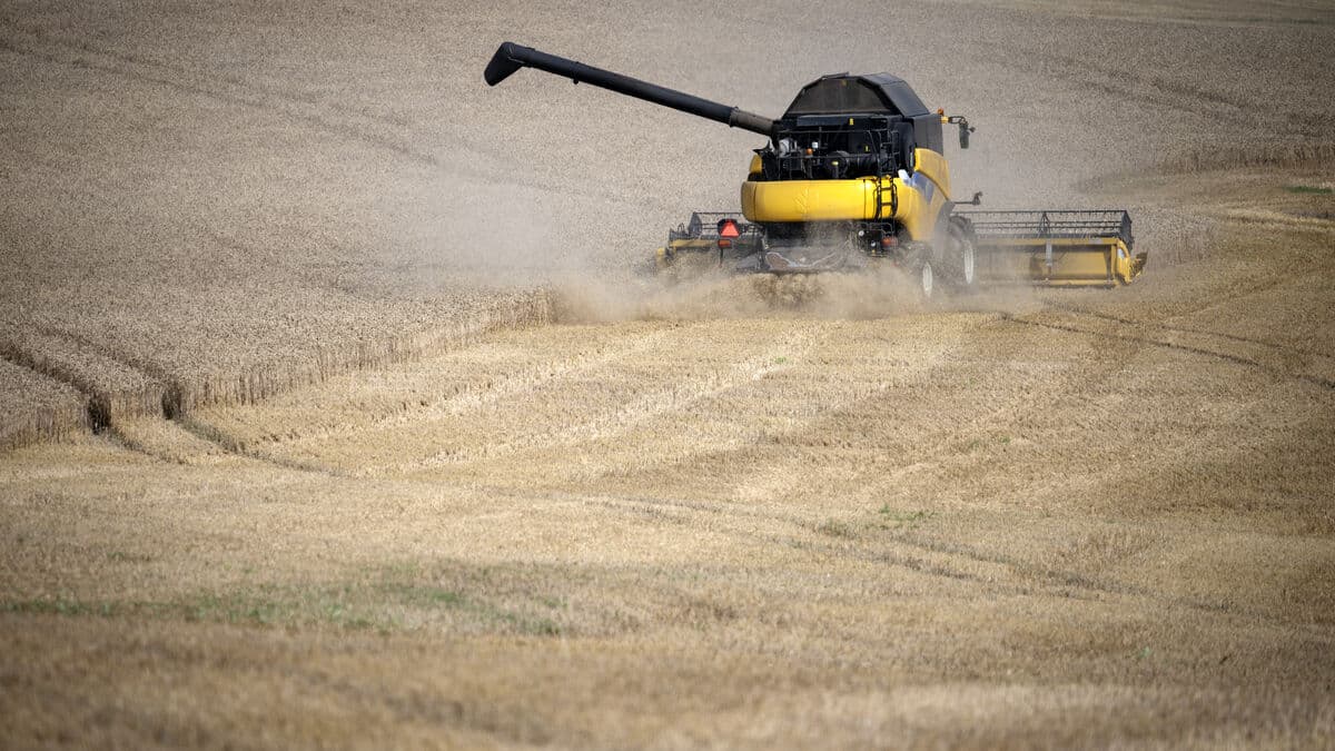 Producer prices lower at an annual rate, down 1.4 percent in November and up 1.2 percent from October