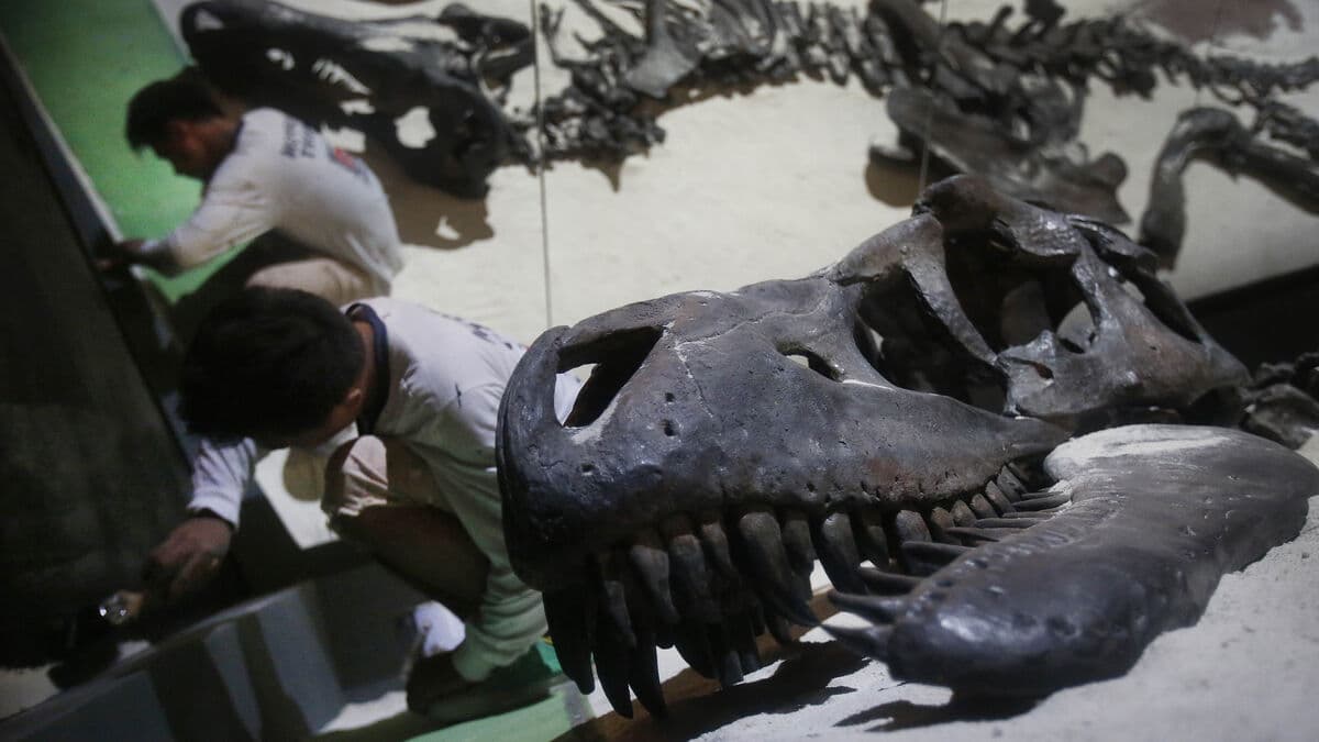 T-rex relative on its way back to Mongolia