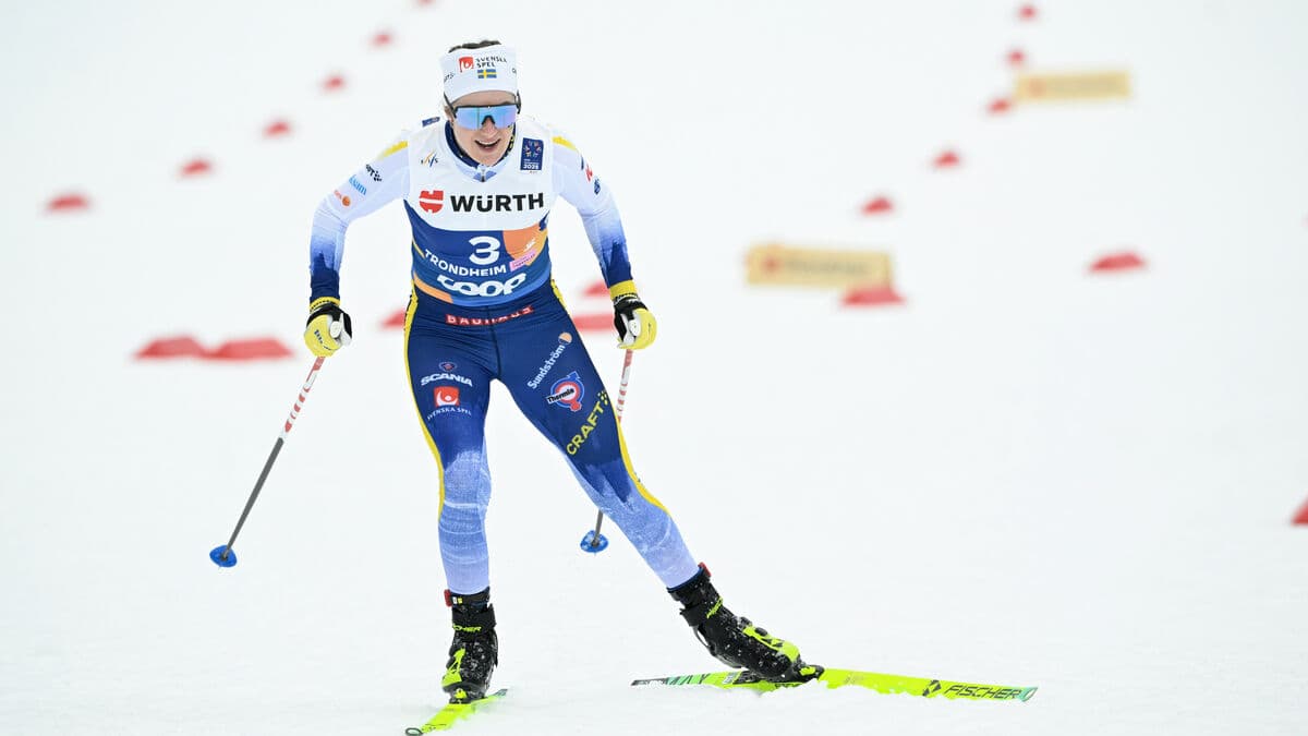 Guide: The cross-country season is starting now – or is it?