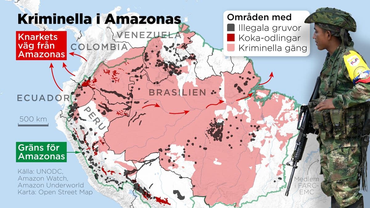 Drugs and gold – the Amazon is threatened by criminals