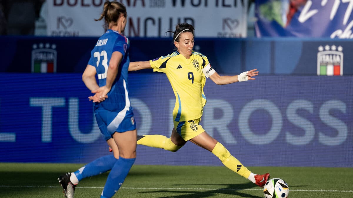 Sweden's World Cup qualifiers on the tip of the iceberg