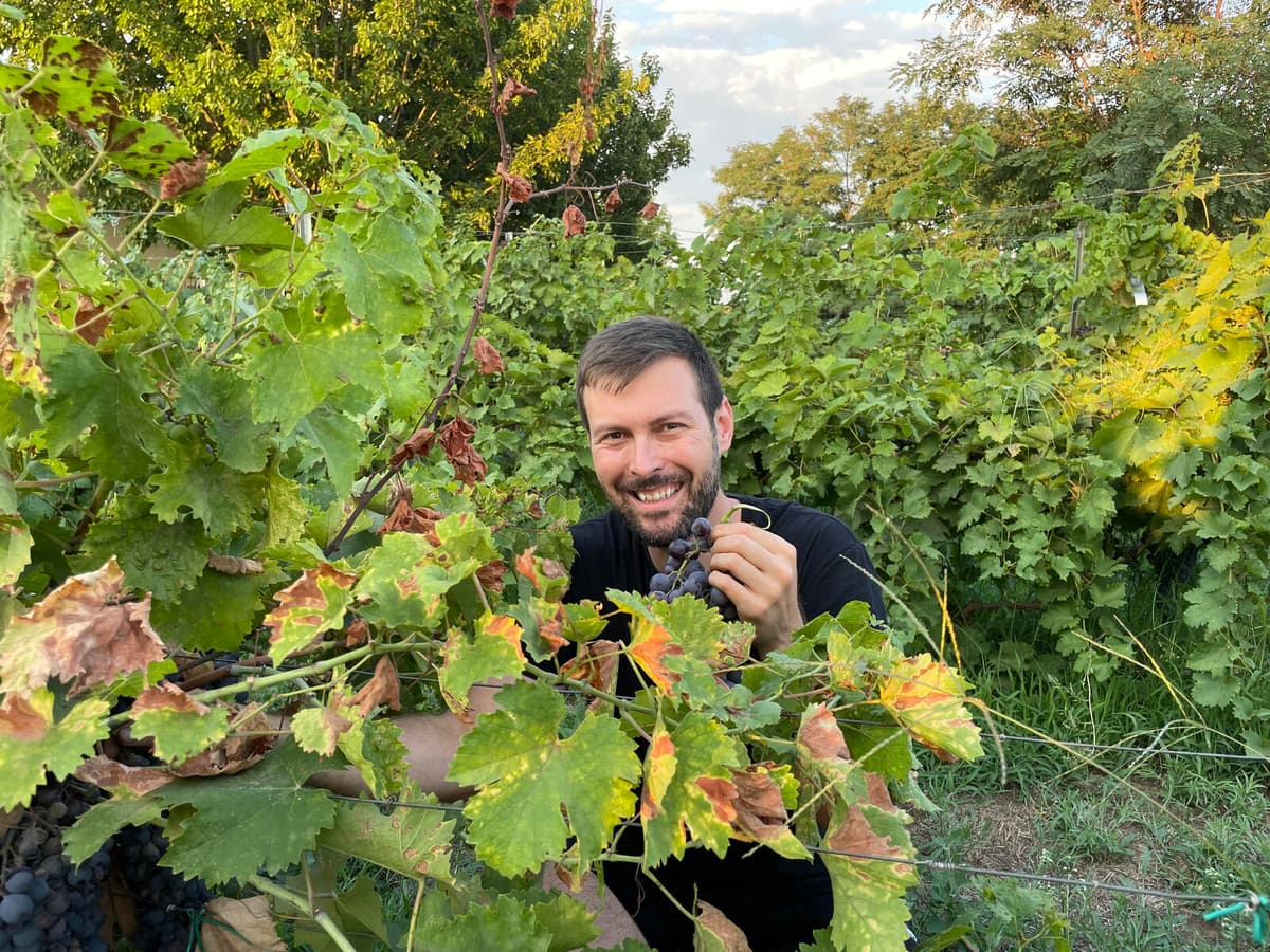 Greece Offers Tax Incentives to Attract Returning Workforce