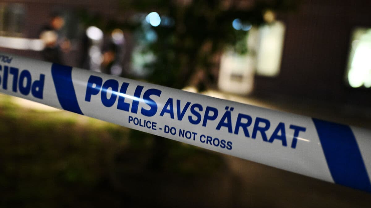 Police Arrive Too Late to Prevent Suspected Assault and Rape in Malmö Park
