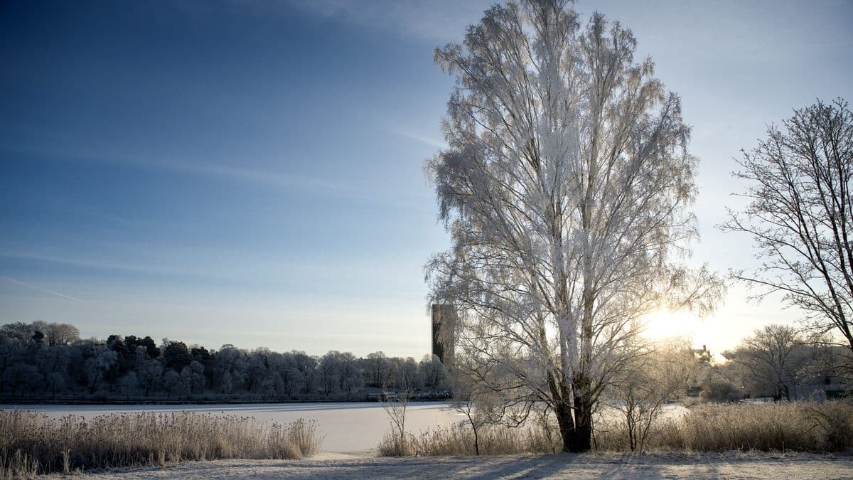 Weather forecast: Sun and cold on Christmas Eve