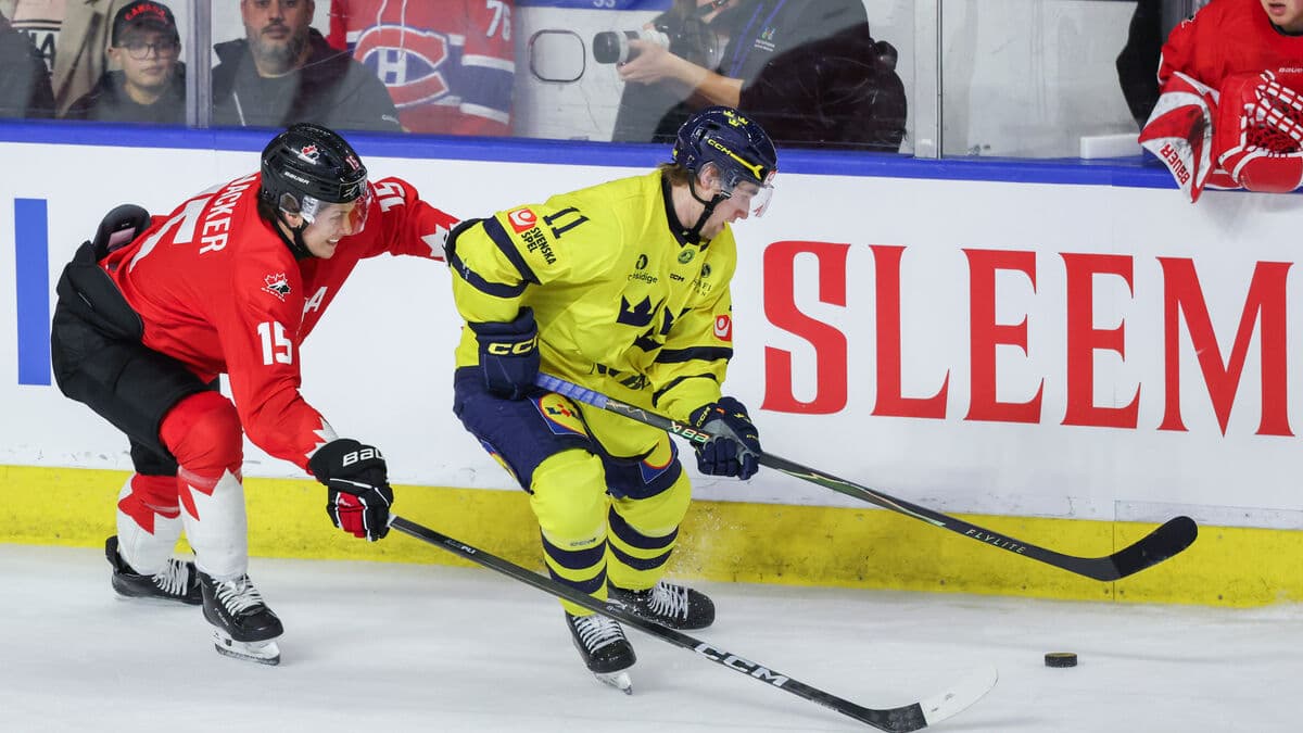 Race against time for Junior World Cup forward Lucas Pettersson