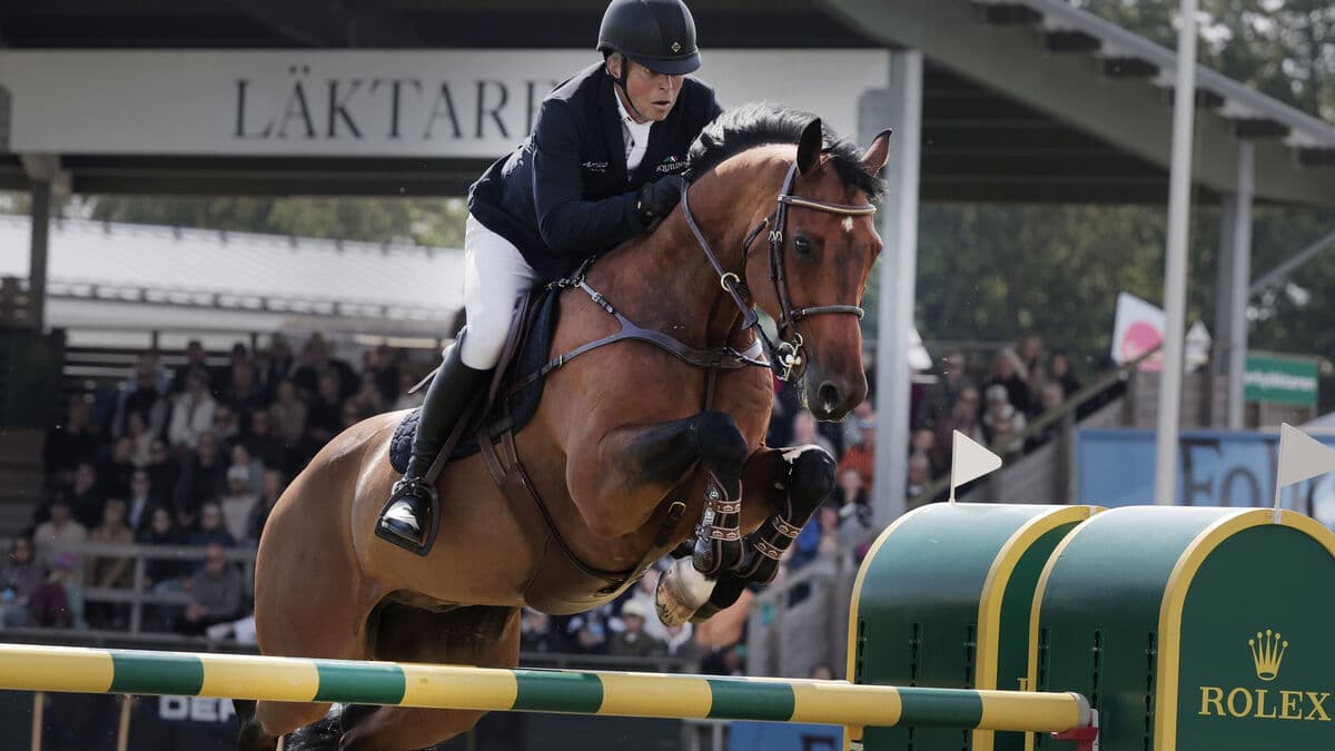 The golden duo misses the World Championships - the horse is injured