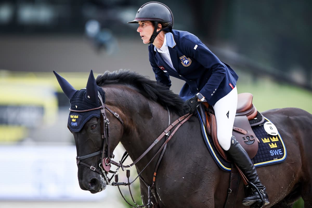 Sweden's Strategic Approach at European Championship: Future Gains Expected