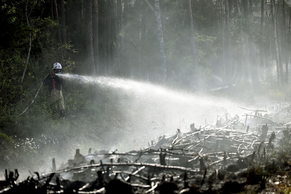 SMHI Warns of High Risk for Grass and Forest Fires in Sweden