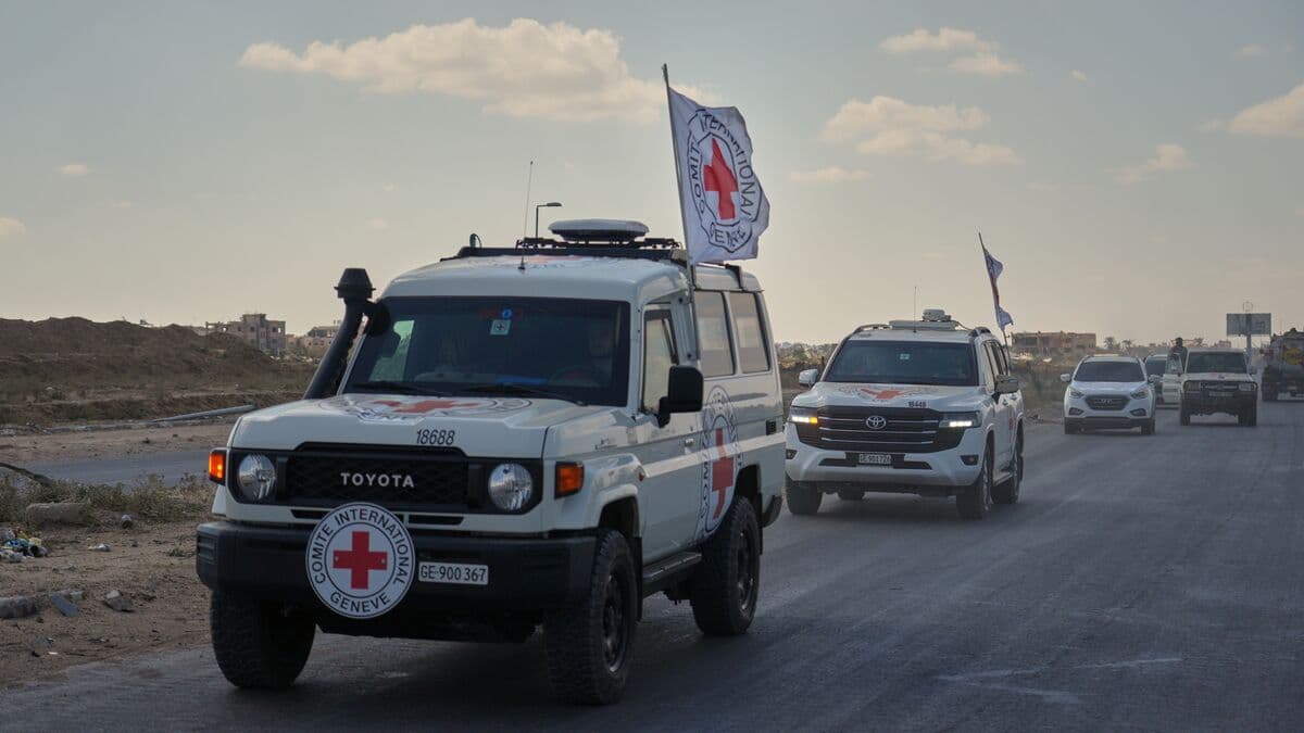 Six Palestinians Killed in Gaza Despite Ceasefire