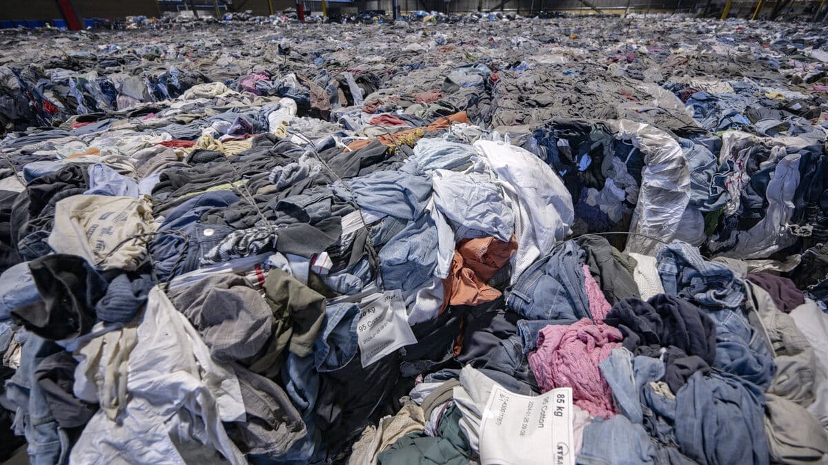 Unique clothes sorting machine goes on sale: "Too early"