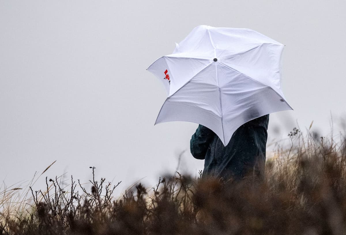 Wind Warning Issued for Eastern Svealand and Southern Norrland