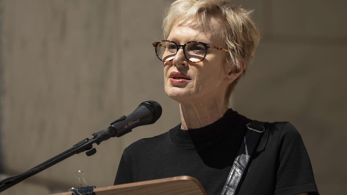 Siri Hustvedt on ICE: No one is safe