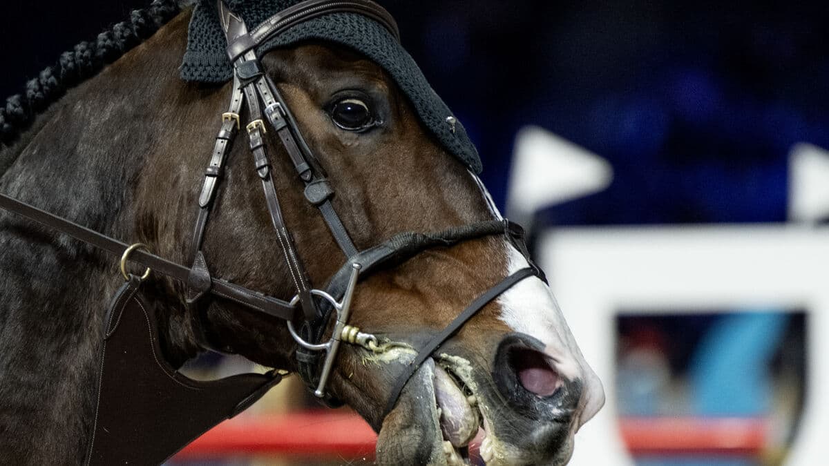 New blood rule hammered out – against Sweden's will