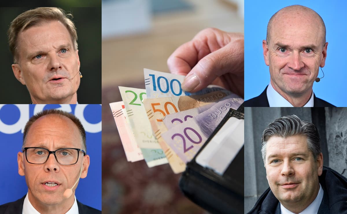 Major Swedish Banks See Profit Decline in 2024 Report