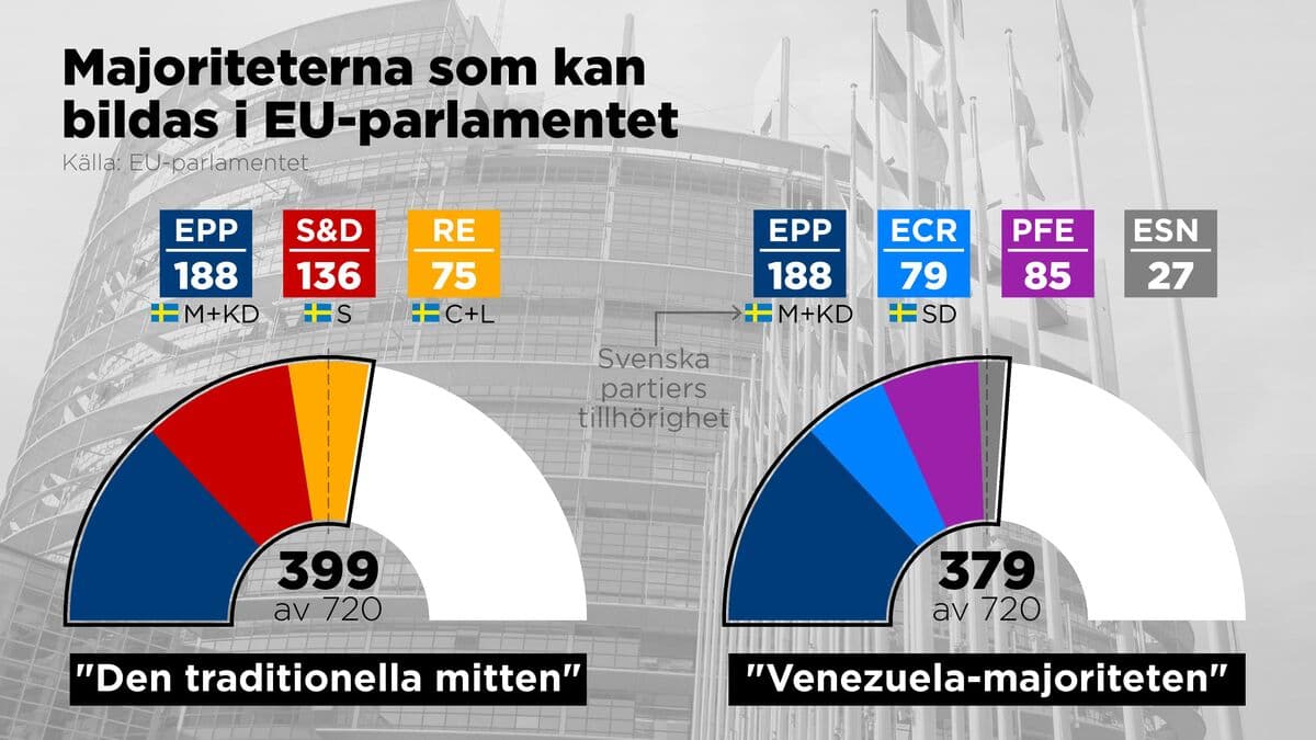 Tidö cooperation on exports – the EU's far right increasingly powerful