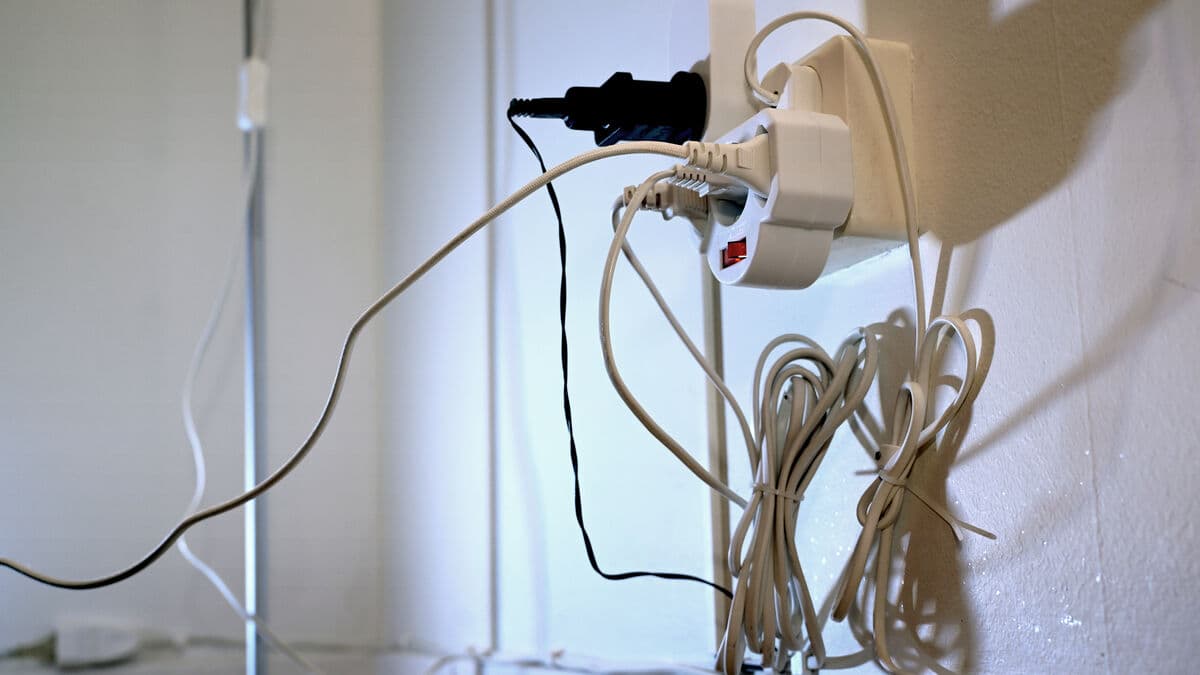 Producer prices rose 2.4 percent in January but fell 2.0 percent compared with January 2025