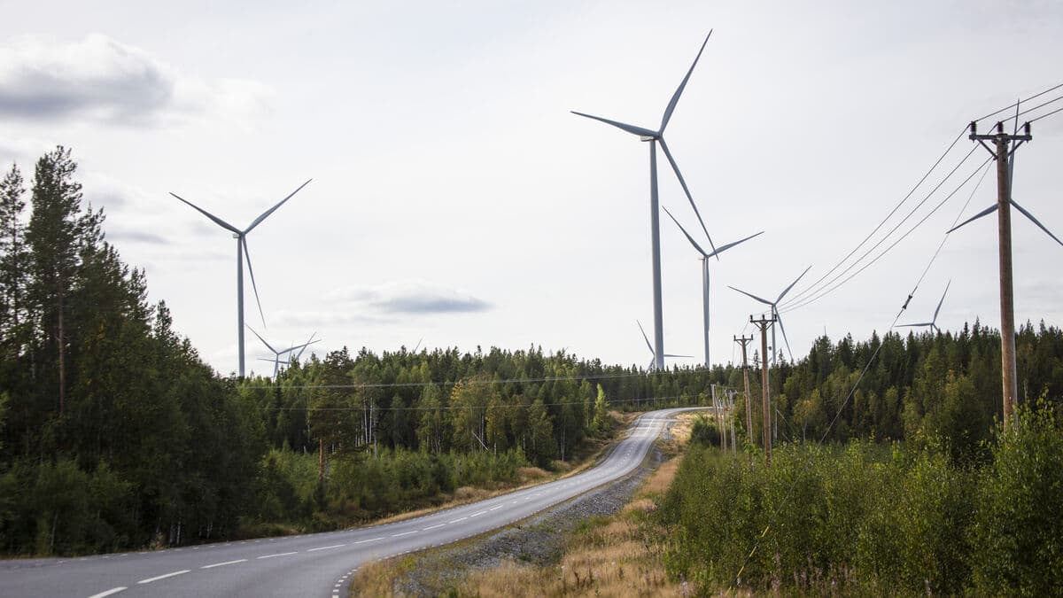 Piteå receives the most wind power support