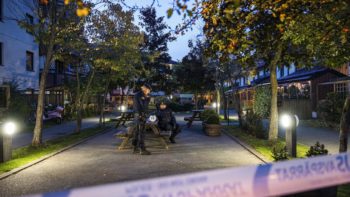 Police Collaboration Key in Arresting 200 Swedish Criminals Abroad