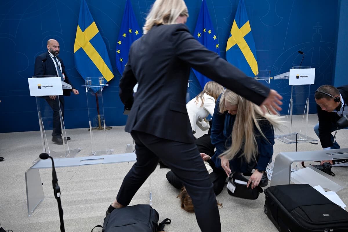 Sweden's Health Minister Elisabet Lann Collapses at Press Conference