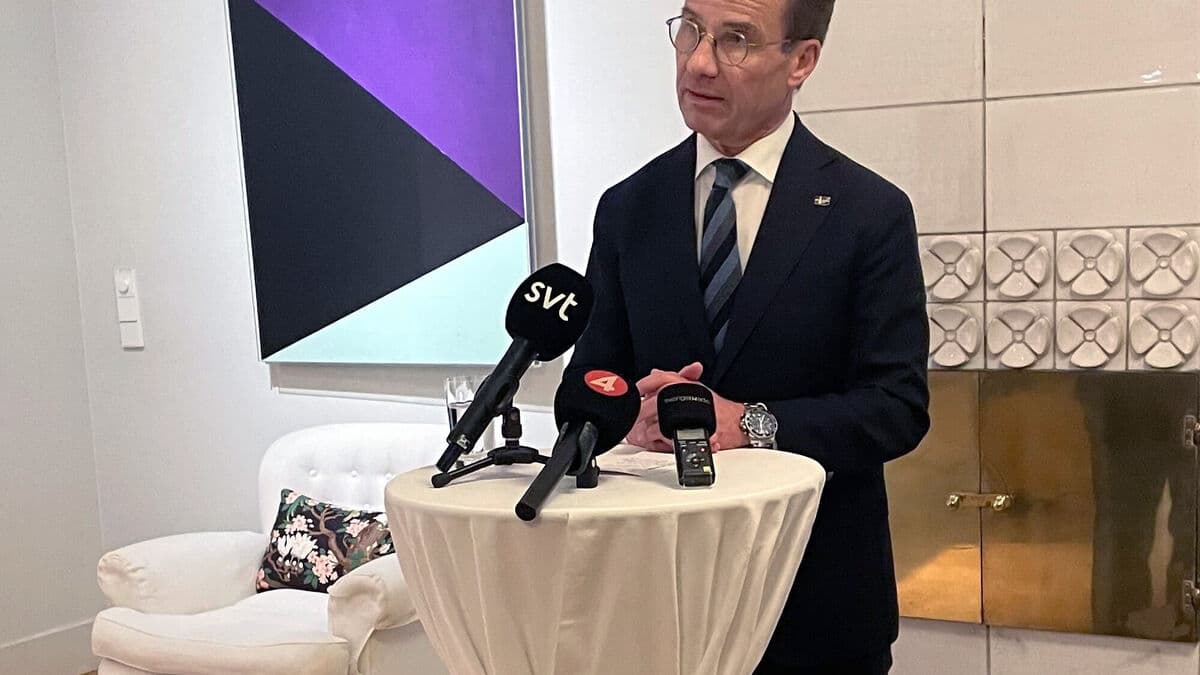 Sweden ready to send JAS 39 Gripen aircraft to Ukraine after a possible peace settlement