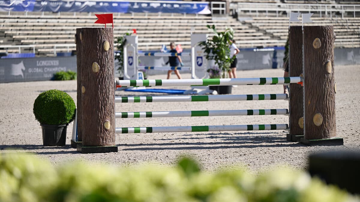 Johan Fyrberg quits immediately - needs to switch up work