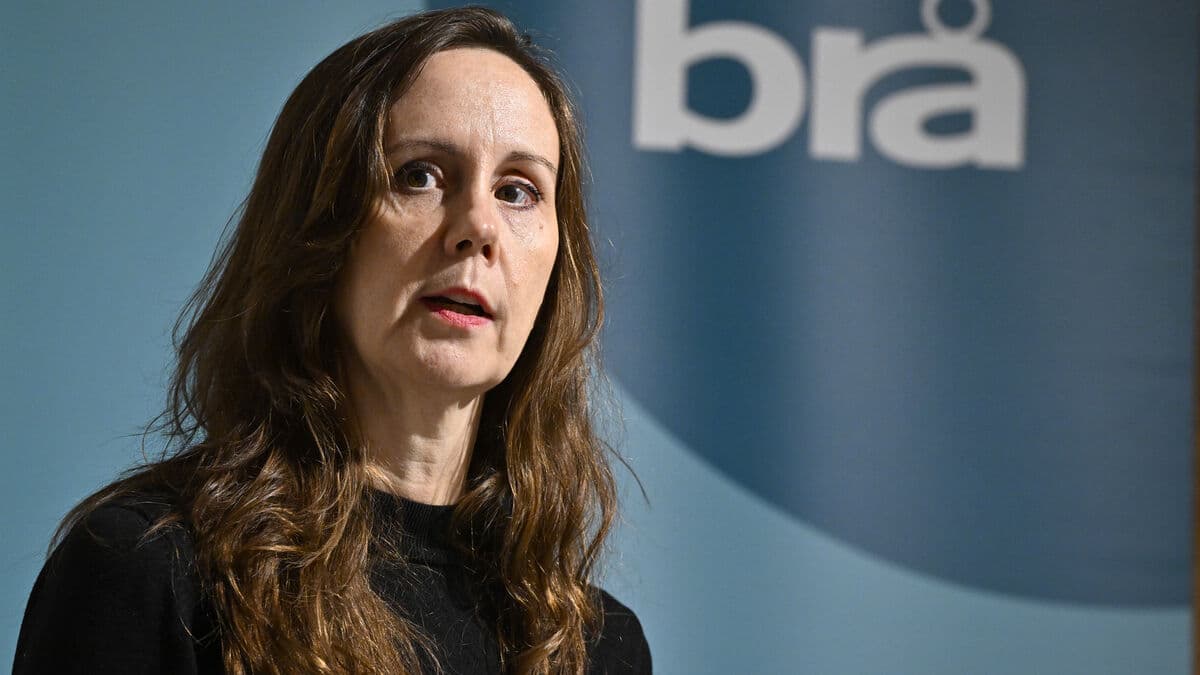 10,000 Women Linked to Swedish Gangs Play Key Roles in Crime