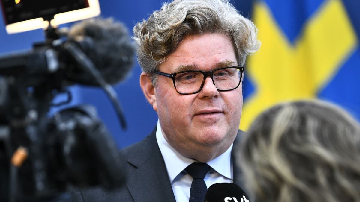 Government and Sweden Democrats propose tightening parents' liability for damages