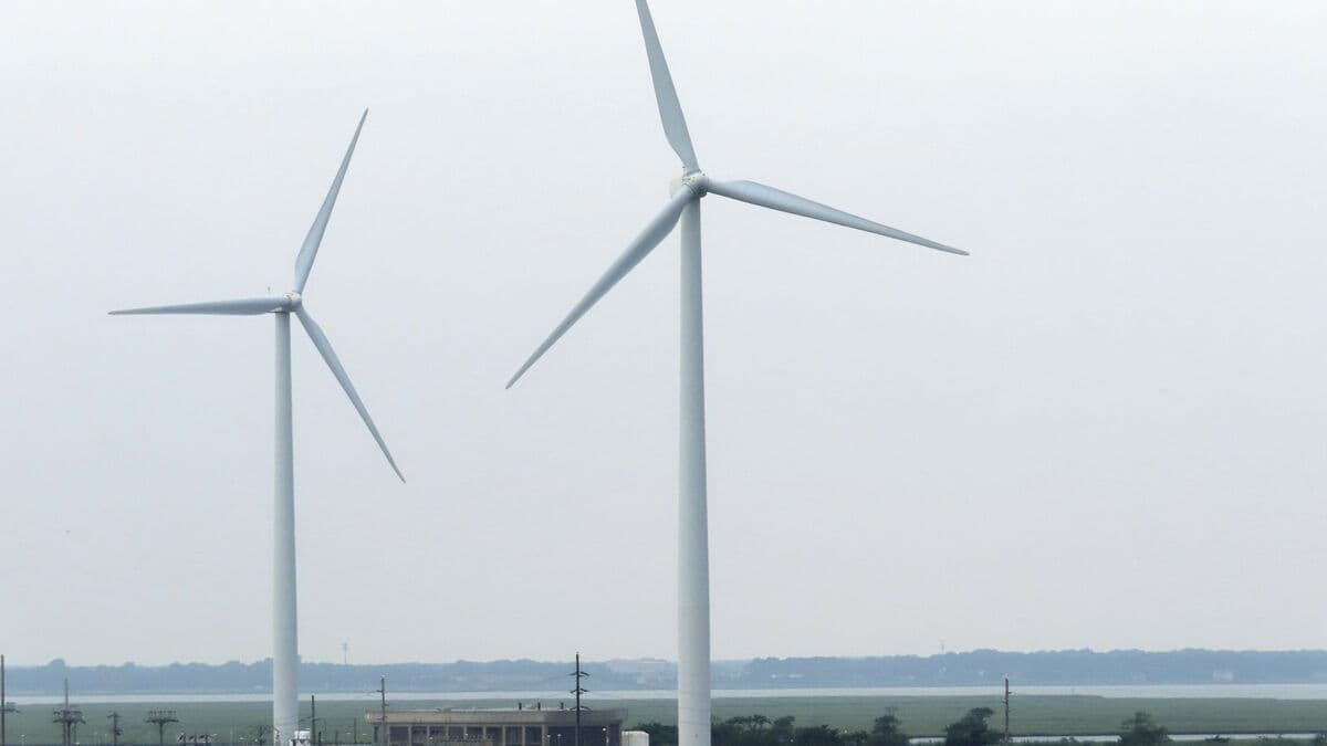 Green energy sector in the US defies Trump as fossil-free electricity reaches record high in 2025