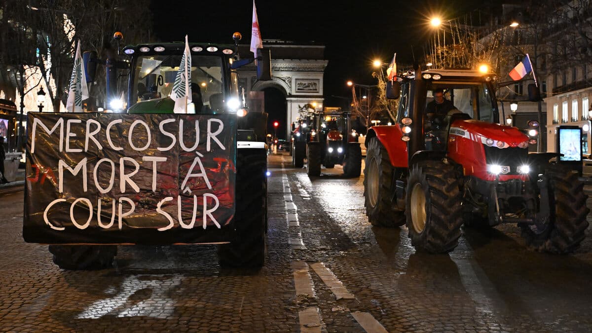 Mercosur - the agreement that could destabilize the EU