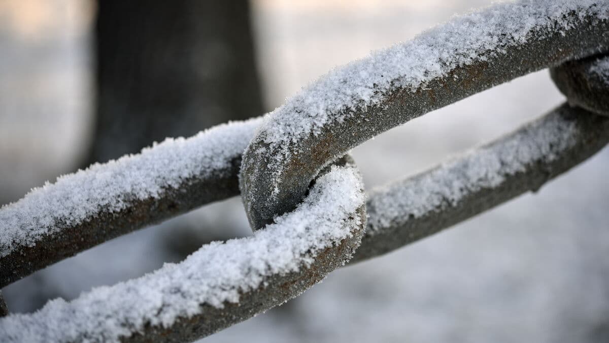 National Ice Day for the first time in two years