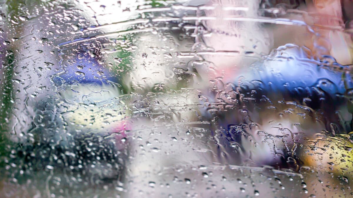 Over 20 dead in landslides