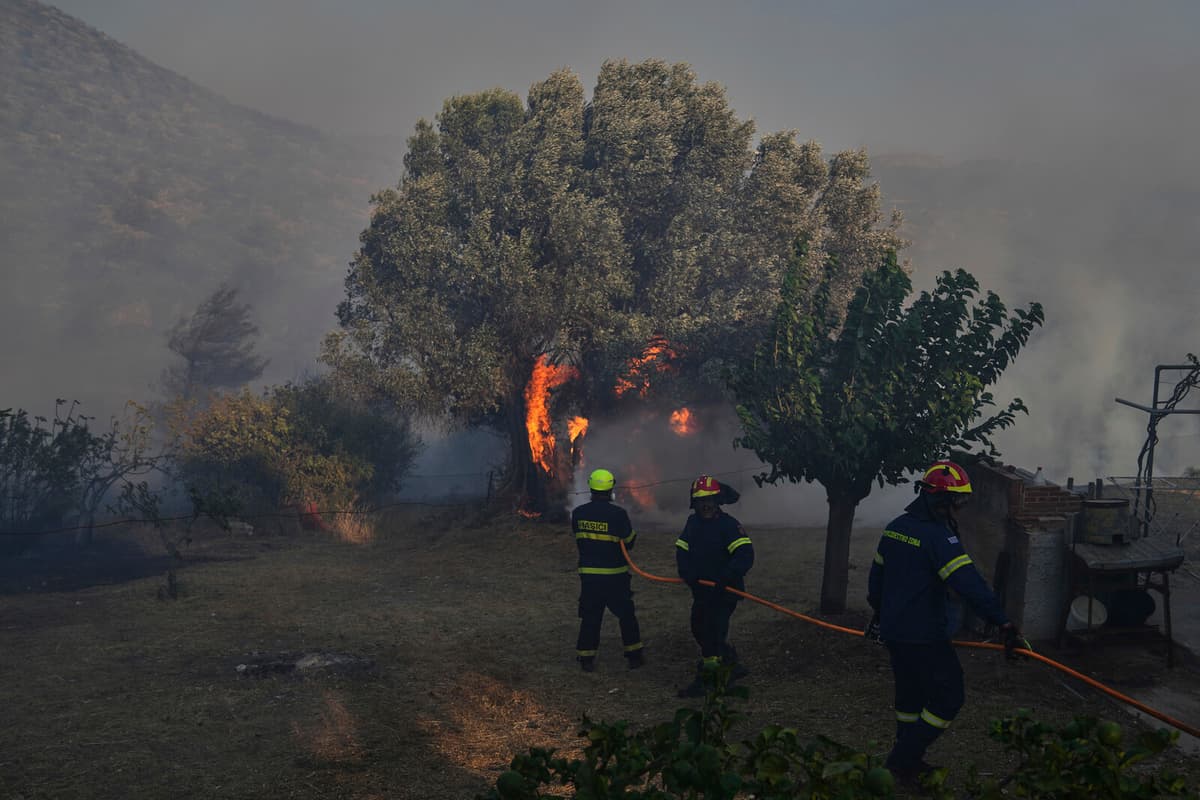 Elderly Man Dies in Greece Forest Fire Near Athens